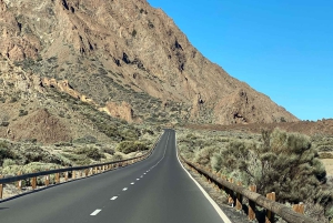 Tenerife : 4,5 heures d'excursion en buggy depuis le sud de Tenerife