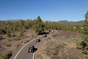 Tenerife : 4,5 heures d'excursion en buggy depuis le sud de Tenerife