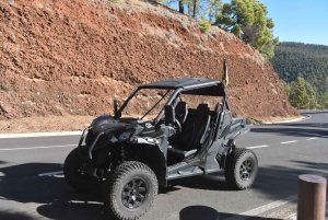 Tenerife : 4,5 heures d'excursion en buggy depuis le sud de Tenerife