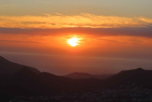 Tenerife : 4,5 heures d'excursion en buggy depuis le sud de Tenerife
