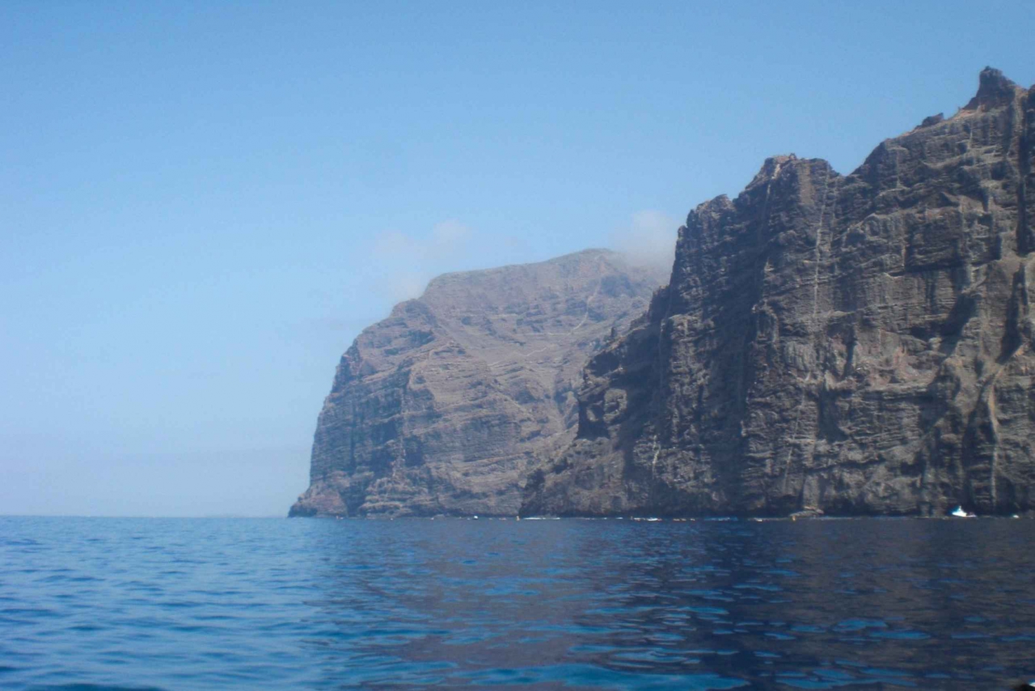 Tenerife: Luxury Private Whale & Dolphin Watching Tour