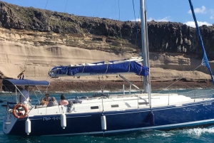 Tenerife: Luxury Private Whale & Dolphin Watching Tour