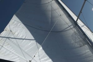 Tenerife 3-6 Hour Private Sailing Experience and Class