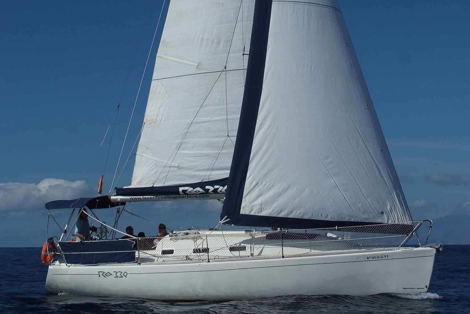 Тенерифе: 3-6-часовое частное наблюдение за китами и дельфинами