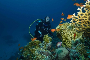 Tenerife: 3-Day Open Water Scuba Diver Course
