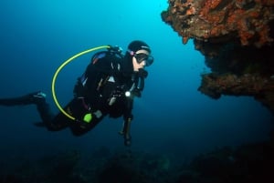 Tenerife: 3-Day Open Water Scuba Diver Course