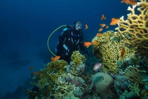 Tenerife: 3-Day Open Water Scuba Diver Course