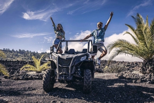 Tenerife: Costa Adeje Buggy Tour with Cheese and Wine