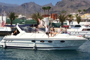 Tenerife 3-Hour Luxury Cruise with Whale & Dolphin Watching