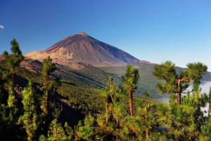 Tenerife: Teide Quad Trip (de dia/puesta del sol) con Bebida