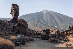 Tenerife: Teide Quad Trip (de dia/puesta del sol) con Bebida