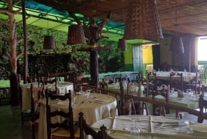 Teneriffa: 4-tunnin Gauchinche-ruokaretki