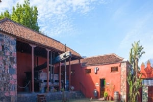 Teneriffa: 4-tunnin Gauchinche-ruokaretki