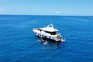 Tenerife: Fun Yacht Trip with Water Activities and Toys