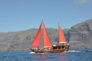 Adeje: Whale-Watching & time for swim & food in Los Gigantes