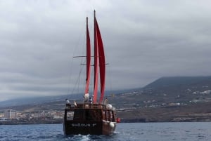 Adeje: Whale-Watching & time for swim & food in Los Gigantes