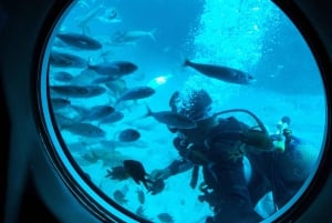 50-Minute Submarine Dive