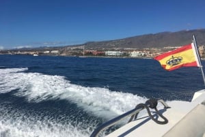 Tenerife: Crucero Privado en Barco a Motor de 6 y 8 Horas Todo Incluido