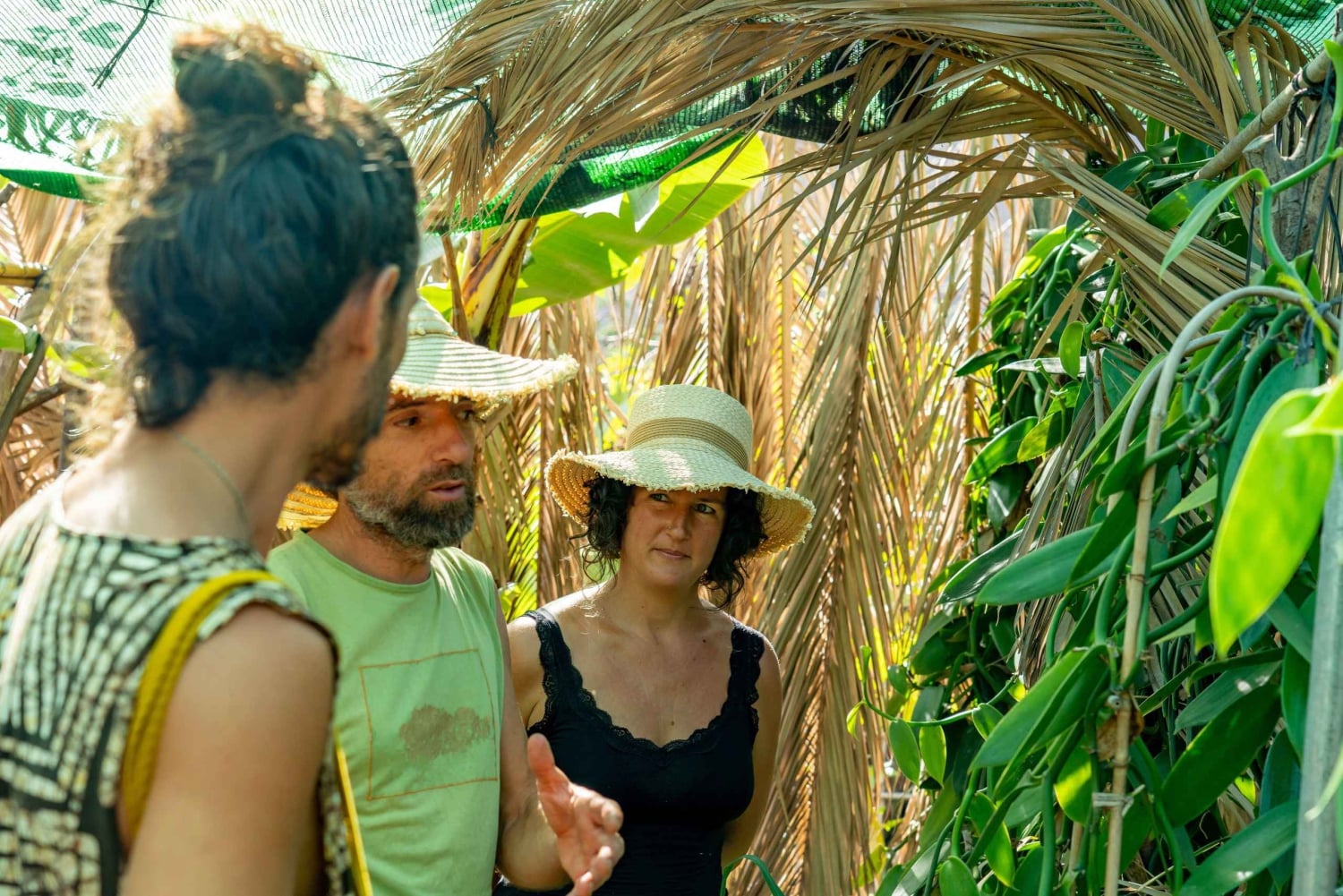 Tenerife: un tour por un bosque comestible y un cultivo de vainilla