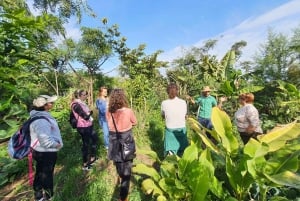 Teneriffa: Eine Tour durch einen Nahrungswald und eine Vanilleplantage