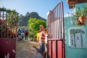 Tenerife: un tour por un bosque comestible y un cultivo de vainilla