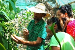 Tenerife: un tour por un bosque comestible y un cultivo de vainilla