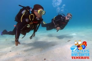 テネリフェ島：アバデスビーチ初心者向けダイビング体験