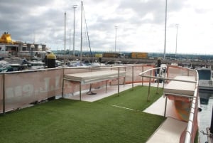 Tenerife: Accessible Cruise with Turtles, Dolphins & Whales