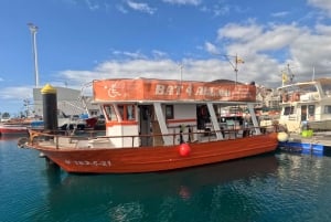 Tenerife: Accessible Cruise with Turtles, Dolphins & Whales