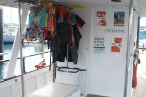 Tenerife: Accessible Cruise with Turtles, Dolphins & Whales