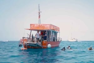 Tenerife: Accessible Cruise with Turtles, Dolphins & Whales