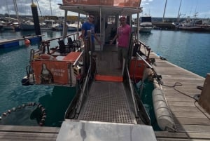 テネリフェ：カメ、イルカ、クジラと出会えるアクセシブルクルーズ