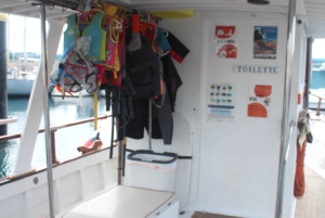 テネリフェ：カメ、イルカ、クジラと出会えるアクセシブルクルーズ