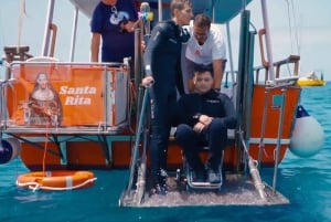 テネリフェ：カメ、イルカ、クジラと出会えるアクセシブルクルーズ