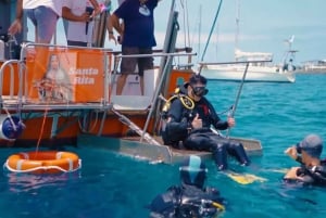 テネリフェ：カメ、イルカ、クジラと出会えるアクセシブルクルーズ