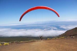 Tenerife: Tandemvlucht acrobatisch paragliden