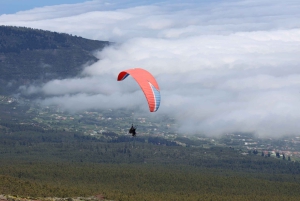Tenerife: Tandemvlucht acrobatisch paragliden