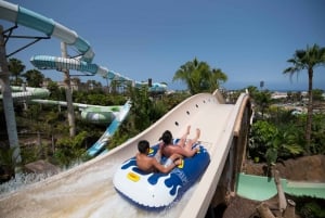 Costa Adeje: Aqualand Water Park Ticket with Dolphin Show