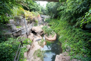 Arona: Entry Ticket to Tenerife's Jungle Park Zoo