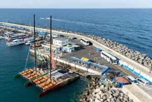 テネリフェ島：大人限定のホエール＆イルカ観察カタマランクルーズをお楽しみください