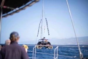 テネリフェ島：大人限定のホエール＆イルカ観察カタマランクルーズをお楽しみください