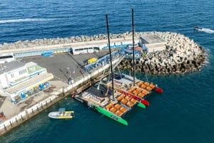 テネリフェ島：大人限定のホエール＆イルカ観察カタマランクルーズをお楽しみください