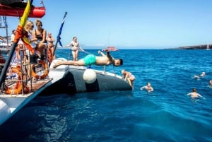 テネリフェ島：大人限定のホエール＆イルカ観察カタマランクルーズをお楽しみください