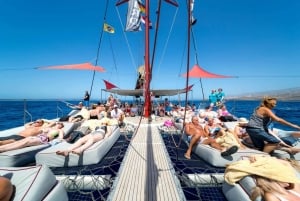 テネリフェ島：大人限定のホエール＆イルカ観察カタマランクルーズをお楽しみください