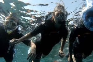 Tenerife: Alcalá Guided Snorkeling Tour