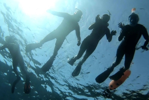 Tenerife: tour guidato di snorkeling ad Alcalá