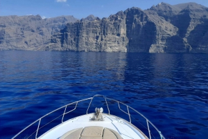 Tenerife: All-Inclusive 2 to 4 Hour Private Motorboat Tour