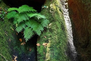 Tenerife: Anaga Hiking