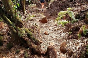 Tenerife: Anaga Hiking