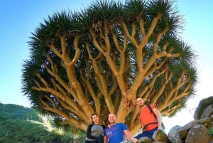 Tenerife: Anaga Hiking